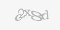 Säkerhetskod