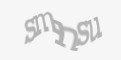 Säkerhetskod