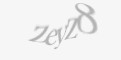 Säkerhetskod