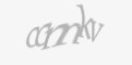 Säkerhetskod