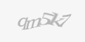 Säkerhetskod