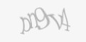 Säkerhetskod