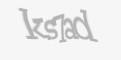 Säkerhetskod