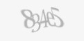 Säkerhetskod