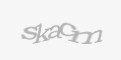 Säkerhetskod
