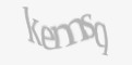 Säkerhetskod