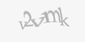 Säkerhetskod