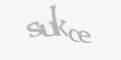 Säkerhetskod