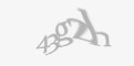 Säkerhetskod