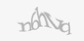 Säkerhetskod
