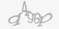 Säkerhetskod