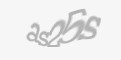 Säkerhetskod