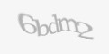 Säkerhetskod