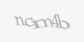 Säkerhetskod