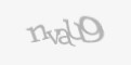 Säkerhetskod