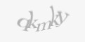 Säkerhetskod
