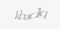 Säkerhetskod