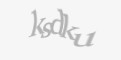 Säkerhetskod