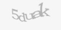 Säkerhetskod