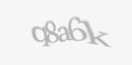 Säkerhetskod