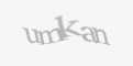 Säkerhetskod