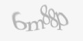Säkerhetskod