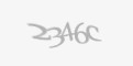 Säkerhetskod