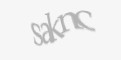 Säkerhetskod