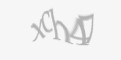 Säkerhetskod