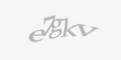 Säkerhetskod