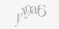 Säkerhetskod