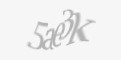 Säkerhetskod