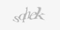 Säkerhetskod