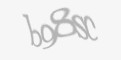 Säkerhetskod