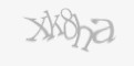 Säkerhetskod