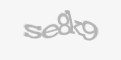 Säkerhetskod