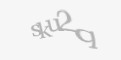 Säkerhetskod