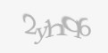 Säkerhetskod