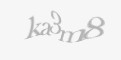 Säkerhetskod