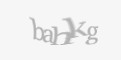 Säkerhetskod
