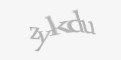 Säkerhetskod