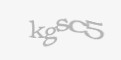 Säkerhetskod