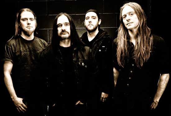 carcass