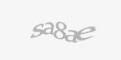 Säkerhetskod