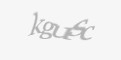 Säkerhetskod