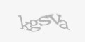 Säkerhetskod
