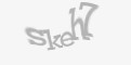 Säkerhetskod