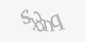 Säkerhetskod