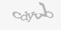 Säkerhetskod